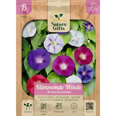 Klimmende winde morning glory mengsel 20st