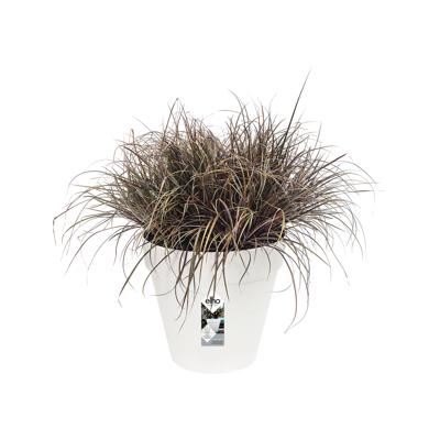 Elho pot loft urban rond D20cm wit - thumbnail