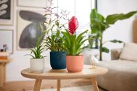 Elho Bloempot Vibes Fold Zijdewit Ø14cm - thumbnail