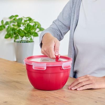 Emsa Clip & Micro vershoudbakje 1,1 L doos Emsa Clip & Micro vershoudbakje 1,1 L doos