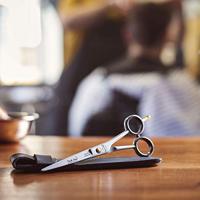 Dark Stag Scissors Barber Scissor DS1 6" 1Stuks - thumbnail