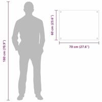 VidaXL Keuken achterwand 2 pcs doorzichtig 70 x 60 cm gehard glas - thumbnail