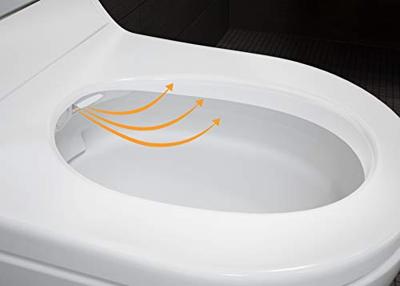 Geberit Toiletzitting met Onderdouche AquaClean Tuma Comfort Geborsteld RVS