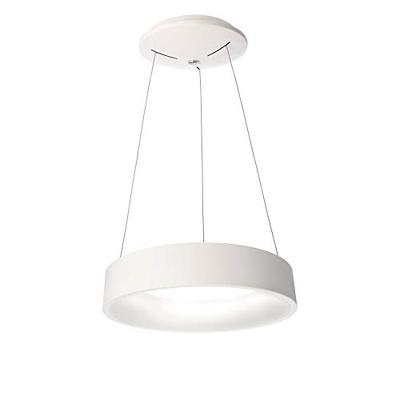 Deko Light Sculptoris 45, neutralweiß 342123 Hanglamp LED Energielabel: F (A - G) 26 W Wit