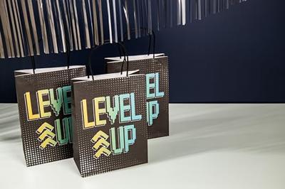 Papieren tasjes level up - set van 6