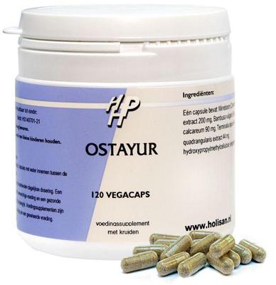 Holisan Ostayur Capsules 120st Holisan Ostayur Capsules 120st