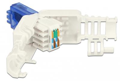 Delock 86417 RJ45-stekker Cat.6A UTP gereedschapsvrij 2 stuks