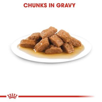 Royal Canin Medium Adult natvoer hond (in saus) 1 doos (10 x 140 g) - thumbnail