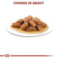 Royal Canin Medium Adult natvoer hond (in saus) 2 dozen (20 x 140 g) - thumbnail