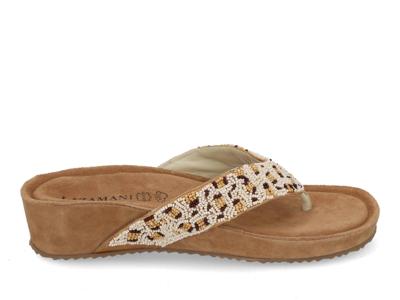Lazamani LA75903 offwhite multi bruin maat 38 Lazamani LA75903 offwhite multi bruin maat 38