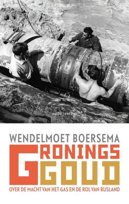 Gronings goud - Wendelmoet Boersema - eBook (9789026344664)