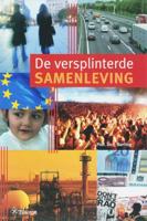 De versplinterde samenleving - Jan Berting - ebook - thumbnail
