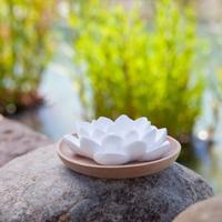 Primavera Geursteen lotusbloem 1 Stuks - thumbnail