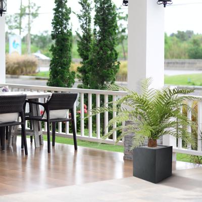 Alsophillia Varen kunstplant XXL 80cm - UV bestendig Alsophillia Varen kunstplant XXL 80cm - UV bestendig