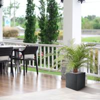 Alsophillia Varen kunstplant XXL 80cm - UV bestendig - thumbnail