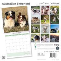 Australian Shepherd Kalender 2026 - thumbnail