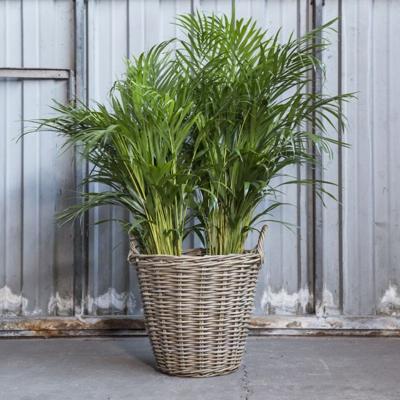 Mand Rotan Antique Grey D45H40 cm Van der Leeden - Van der leeden