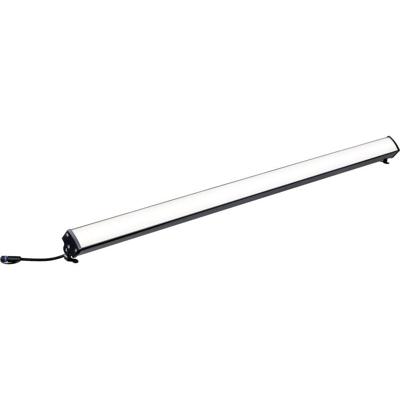 Paulmann Plug & Shine 93922 Verlichtingssysteem Plug&Shine LED-opbouwlamp LED 8 W Warmwit Antraciet Paulmann Plug & Shine 93922 Verlichtingssysteem Plug&Shine LED-opbouwlamp LED 8 W Warmwit Antraciet