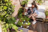 Elho Green Basics Jardin De Cultivation L bloembak - Zwart - L 76 x B 57 x H 27 cm - buiten kweken en oogsten - 100% gerecycled - thumbnail