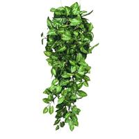 Mica Decorations kunst hangplant fittonia 80cm groen - thumbnail