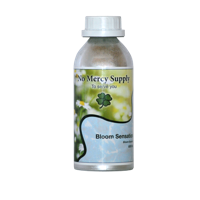 No Mercy Supply No Mercy Supply | Bloom Sensation - thumbnail