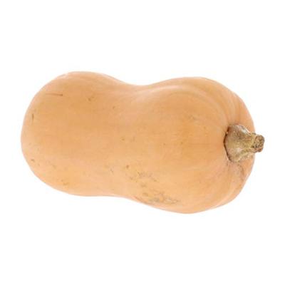 Butternutpompoen zaden Hercules F1