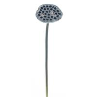 Single lotus pad spray bruin 63 cm kunsttak Buitengewoon de Boet - Buitengewoon de boet - thumbnail