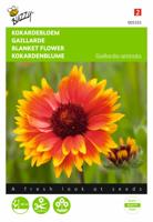 Gaillardia, Kokardebloem - thumbnail