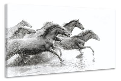 Schilderij - Wilde paarden, 2 maten, Premium print