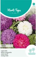 Zaden Callistephus Dwerg-Aster gemengd Hortitops - Hortitops - thumbnail