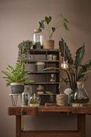 Mand Mica Decorations Atlantic Bruin vlechtwerk (20 x 20 cm) - thumbnail