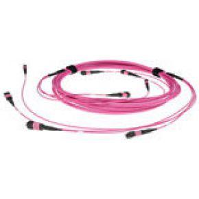 ACT DC5400 Glasvezel Patchkabel 50/125 OM4(OM3) Polarity A Trunkkabel 4x MTP/MPO Female - 5 meter