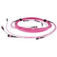 ACT DC5400 Glasvezel Patchkabel 50/125 OM4(OM3) Polarity A Trunkkabel 4x MTP/MPO Female - 5 meter - thumbnail