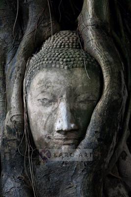 Schilderij - Boeddha in boom , Zwart grijs , 3 maten , Wanddecoratie