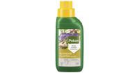 Pokon Bloeiende Planten Voeding 250ml - thumbnail