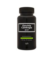 APB Holland Garcinia cambogia puur 290mg 90 Vegetarische capsules - thumbnail