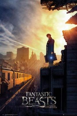 Poster Fantastic Beasts - One Sheet 2 61x91,5cm Poster Fantastic Beasts - One Sheet 2 61x91,5cm