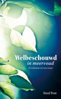 Welbeschouwd in meervoud - Steef Post - ebook - thumbnail
