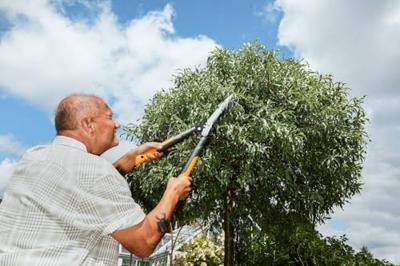 Fiskars PowerGear™ X HSX92 Heggenschaar Handmatig