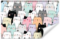 Fotobehang - Kleurrijke cartoon katten, ook mooi voor in een kinderkamer, 11 maten, inclusief behanglijm - thumbnail