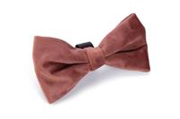 Designed By Lotte hondenstrik Zaza velvet roze 12 x 7 x 2cm - thumbnail