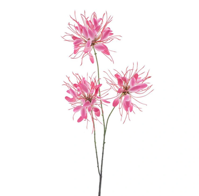 Spider flower spray red 94 cm kunstbloem Erutan Avon - Erutan avon Spider flower spray red 94 cm kunstbloem Erutan Avon - Erutan avon