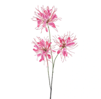 Spider flower spray red 94 cm kunstbloem Erutan Avon - Erutan avon - thumbnail