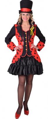 Slipjas kever - lieveheersbeestje