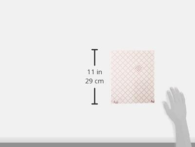 Haze flat filter 2-pack Vileda 1446