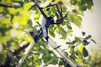 Powergear x takkenschaar bypass lx94 m 64 cm Fiskars - Fiskars - thumbnail