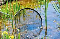 Oase 84310 Schepnet Maasbreedte: 2 mm (l x b x h) 56 x 56 x 32 cm - thumbnail