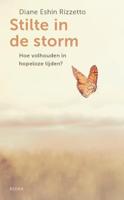 Stilte in de storm (Paperback) - thumbnail
