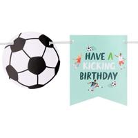 Fantastic Voetbal Vaandel Vlaggenlijn Birthday (6m) - thumbnail