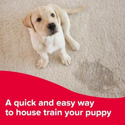 Deodorant Spray Inodorina White Musk 300 ml